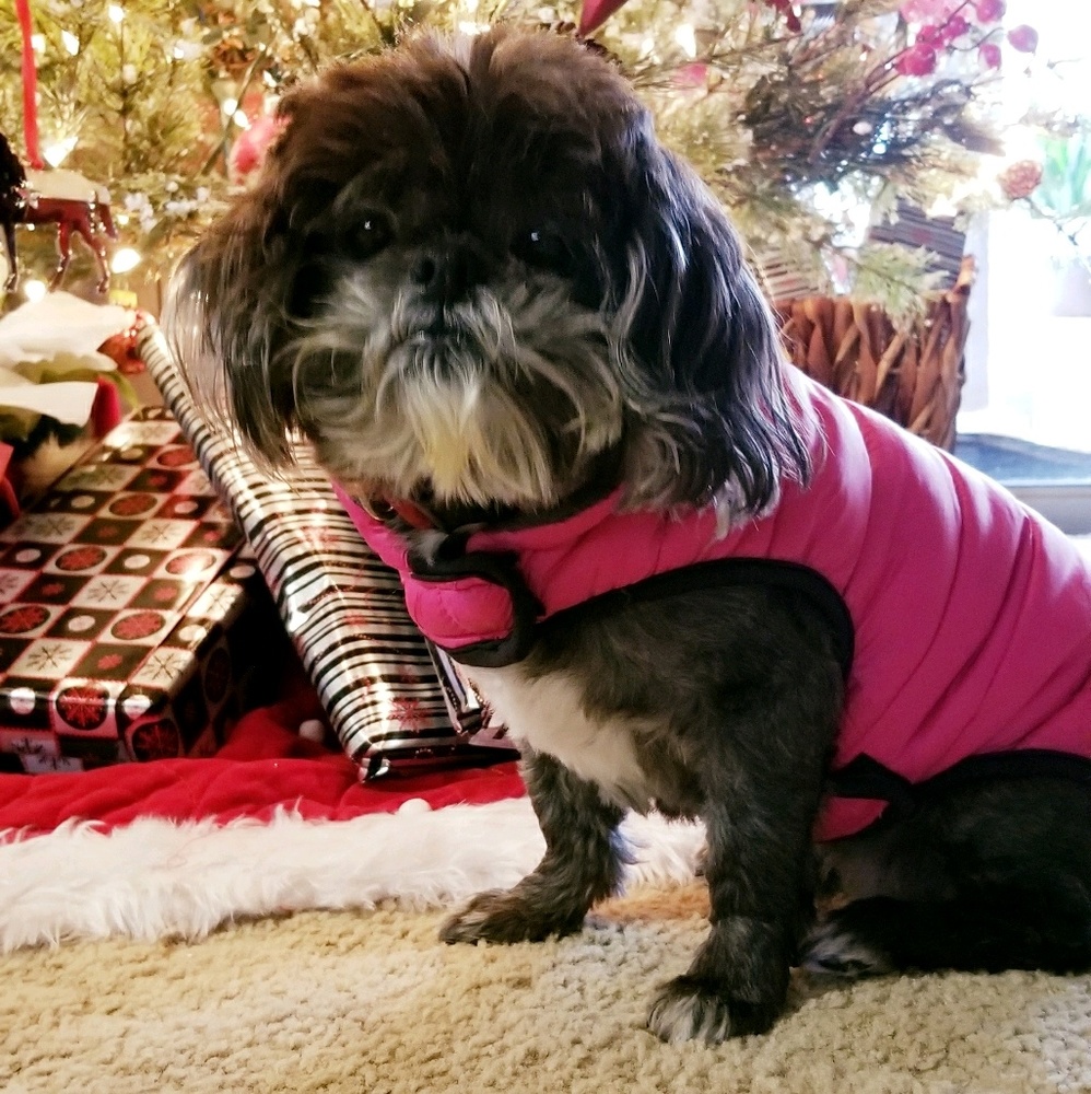 Meet your Posher, Marlene